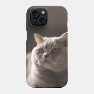 British short haired cat Phone Case