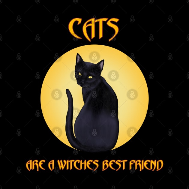 Cats are a witches best friend by SCSDESIGNS