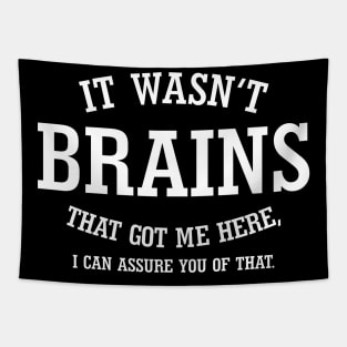 It Wasn't Brains That Got Me Here.. Tapestry