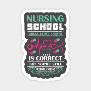 Nursing School Problems Magnet