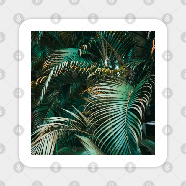 Botanical Green Foliage Magnet by gronly