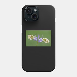 Two Orange Tip Butterflies on a Bluebell Flower Phone Case