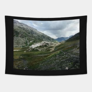 Granite Rock Formations on Greina High Plain (Ticino, Switzerland) Tapestry