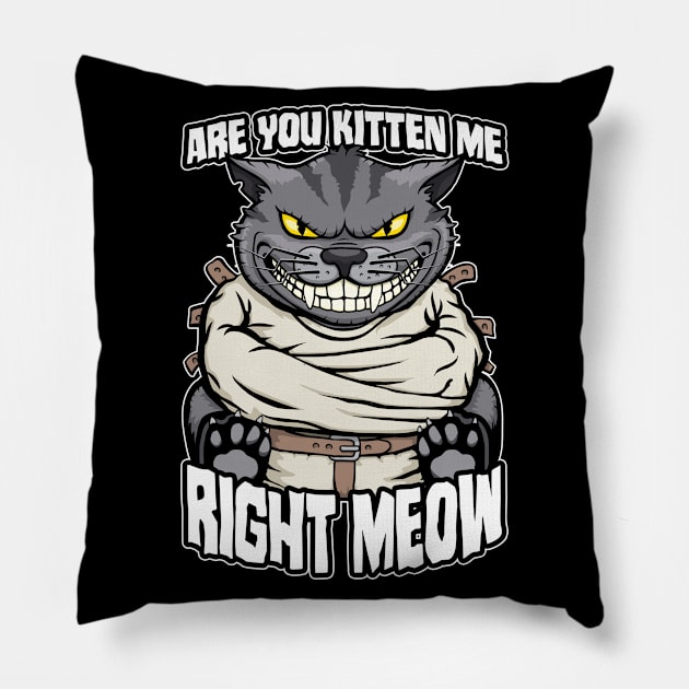 Are You Kitten Me Right Meow Crazy Cat Funny Mad Cats Lover Pillow by Grandeduc