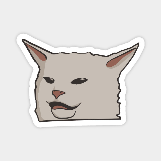 Cat Table Meme Turns Out The Pawsome Cat From Woman Yelling At