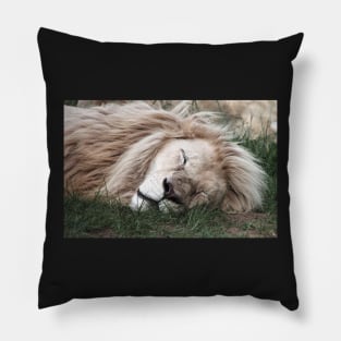 White Lion Sleeping Pillow
