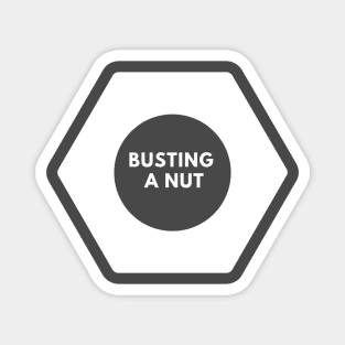 Busting a nut- a design for the general contractor or DIY types. Magnet