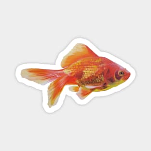 Goldfish painting (no background) Magnet