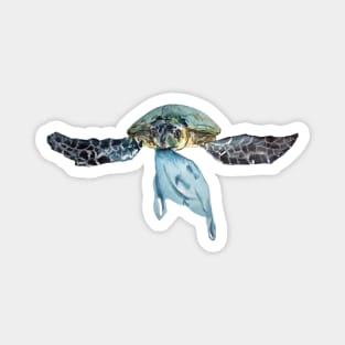 Sea turtle with plastic bag Magnet