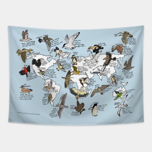 Bird migration map Tapestry