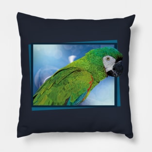 severe macaw Pillow