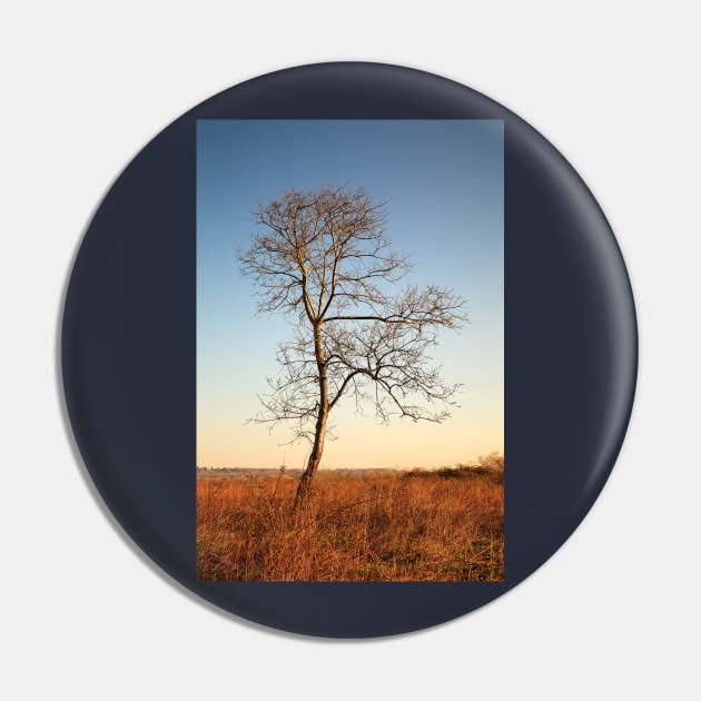 Lone Tree Silhouette Pin by mcdonojj