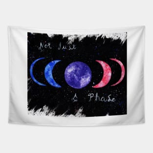 Not Just A Phase, Bi Pride Tapestry