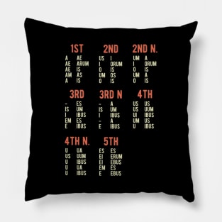 Latin Declensions Minimal Version Pillow