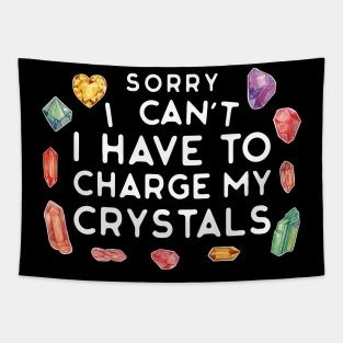 Sorry I Can't I Have to Charge My Crystals Wiccan Witch Tapestry