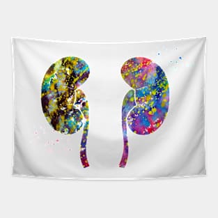 The Kidneys anatomy Tapestry