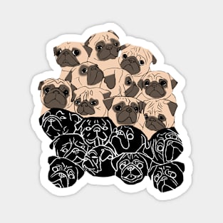 Fawn Pugs and Black Pugs Magnet