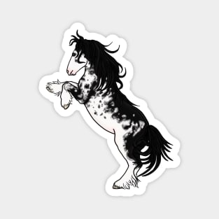 Black Sabino Rearing Gypsy Vanner Magnet