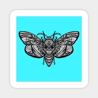 Death’s Head Moth Magnet