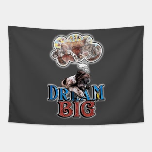 Dream Big Tapestry