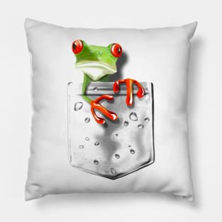 Pocket Frog Pillow