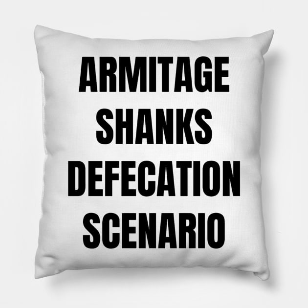 Armitage Shanks Defecation Scenario Pillow by mywanderings