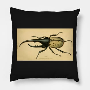 scarabaeus hercules: Scarab Beetle (male) Pillow