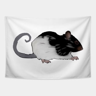 A little rat named Ink Tapestry