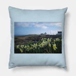 Seaton Sluice Harbour Daffodils Pillow