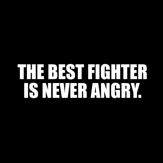 The best fighter is never angry by DinaShalash