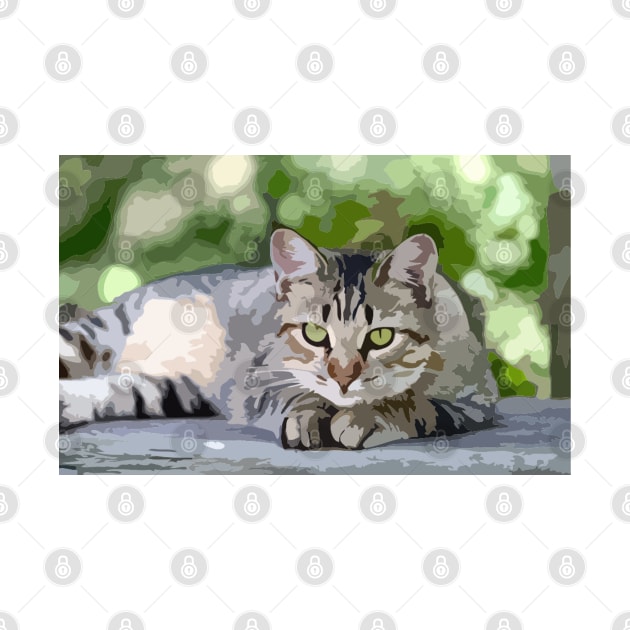 American Shorthair Cat Digital Painting by gktb