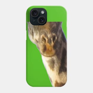 Giraffe Mouth Animal Face Phone Case