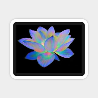 Iridescent water Lily Magnet