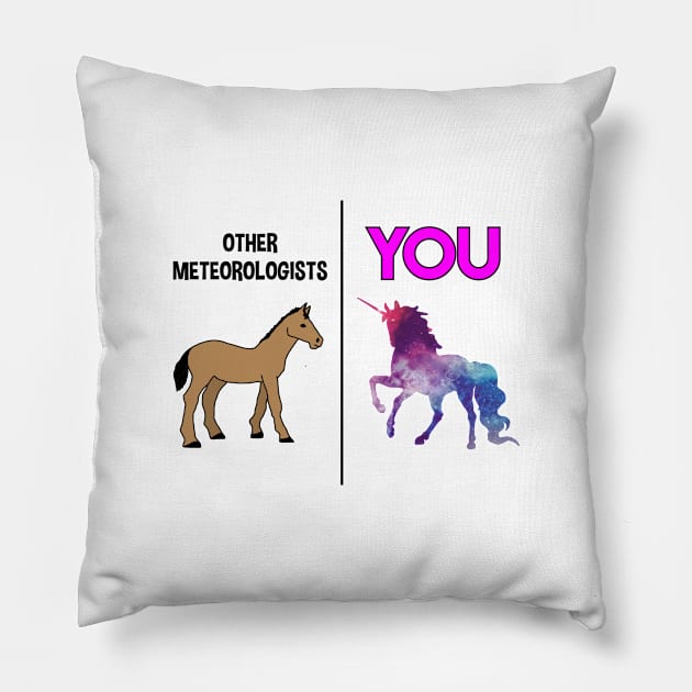 unicorn meteorologist Pillow by IndigoPine