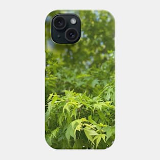 Spring Leaves in Portland Phone Case