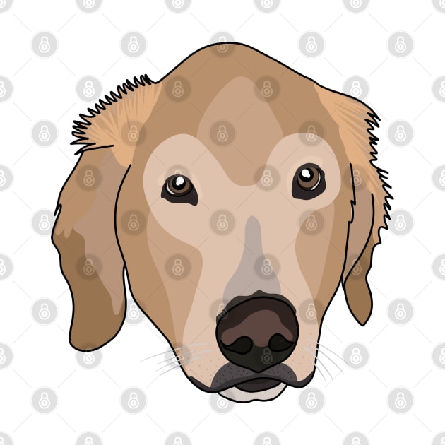 Golden Retriever by crankycranium