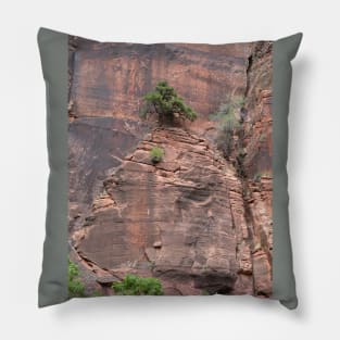 Bonsai In Rock Wall Pillow