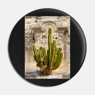 Organ Pipe Cactus in Front of Colonial Church Pin