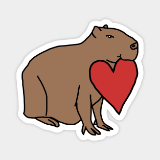 Capybara with Love Heart for Valentines Day Magnet