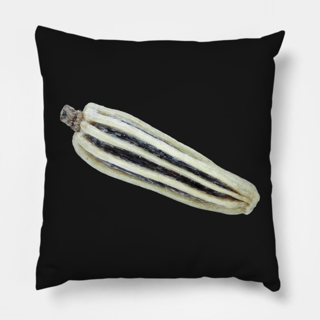 Shasta daisy seed under the microscope Pillow by SDym Photography