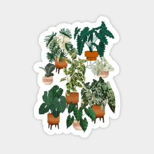 House plants collection 30.5 Magnet