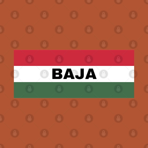 Baja City in Hungarian Flag by aybe7elf