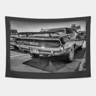1970 Dodge Challenger RT Hardtop Coupe Tapestry