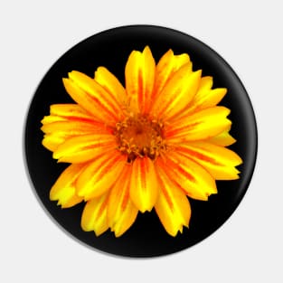 unique yellow red flower, bloom, flowers, petals Pin