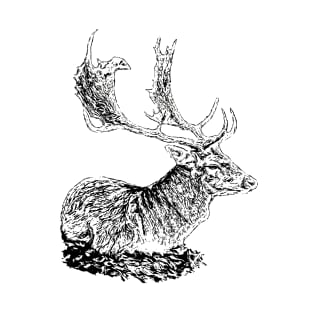 Fallow deer T-Shirt