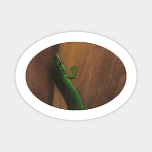 Day Gecko Magnet