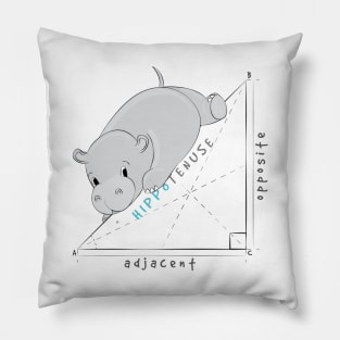 The Hippo Theorem Pillow