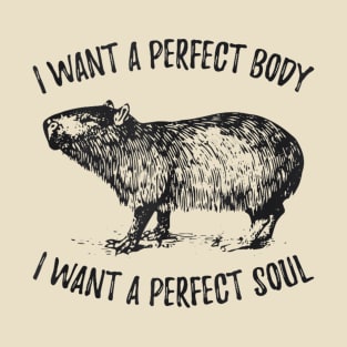 i want a perfect body i want a perfect T-Shirt