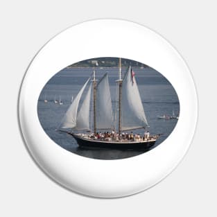 Sailboat on the Water Pin