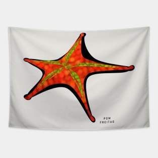 Starfish : Tapestry